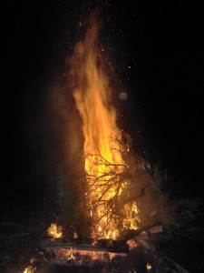 Tree Burn